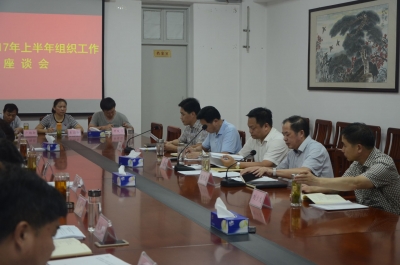 全区2017年上半年组织工作座谈会召开