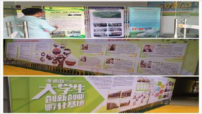 区发改局积极开展大众创业万众创新活动
