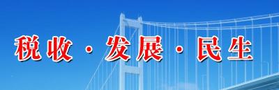 区国税局五项举措夯实收入工作