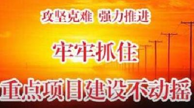 多方联动齐抓共管全面发力孝南重点项目开工率达86.6%