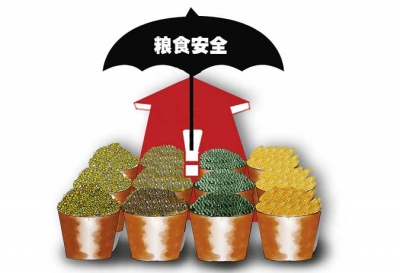 区粮食局立足“五新”保“粮心”