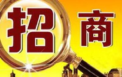 区领导带队赴广东招商