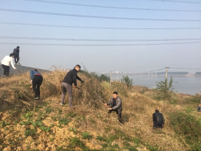 区综合执法局组织开展大教湖环境整治行动