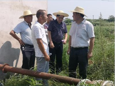 区领导到三汊镇指导抗旱