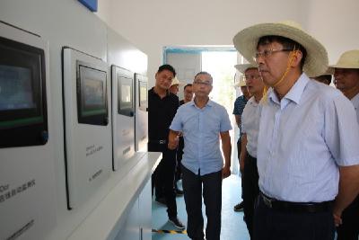 区领导调研污水处理厂建设及厕所革命工作