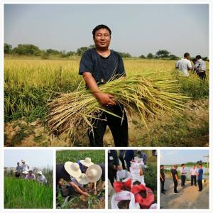 孝南：让农业技术为农业增产农民增收提档增速