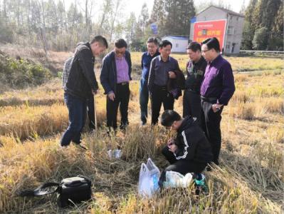 华中农业大学植科院到我区开展调研活动