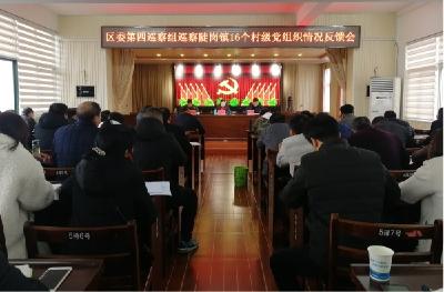 陡岗镇召开巡察组巡察村级党组织情况反馈会