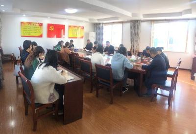 新铺镇、杨店镇“不忘初心、牢记使命”主题教育活动进行时