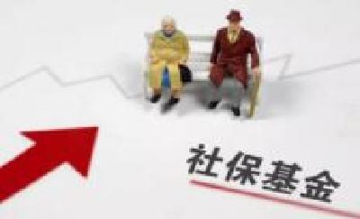 区城乡居民社会养老保险局追缴社保基金31万余元