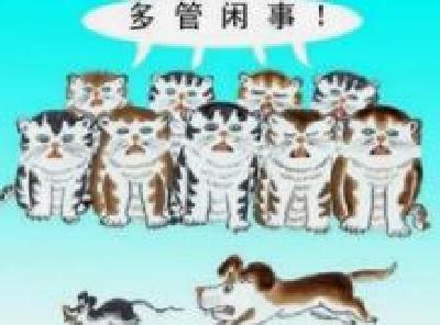 铁嘴婶的闲事管的真及时