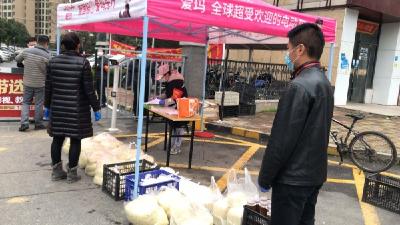 责任扛肩上 防疫永向前———孝南区广场街晒书台社区福星城（三期）临时党支部抗疫纪实