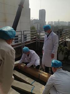 庞然大物难进门 “兔子”哥们齐上阵