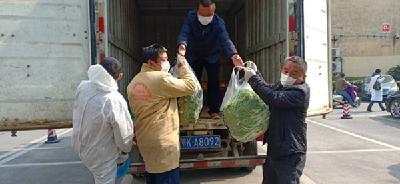 爱心企业捐赠蔬菜助力战“疫”