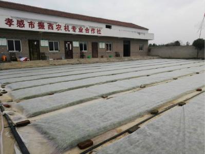 四月春光无限好 技术服务正当时