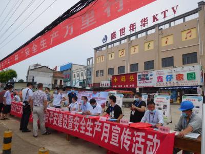 杨店镇开展“安全生产、信访条例、国际禁毒日”宣传活动