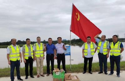 党旗，在澴西堤上飘扬