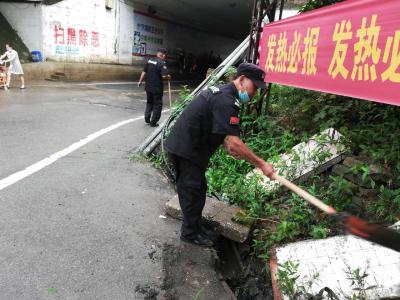 三汊镇组织开展防汛工作