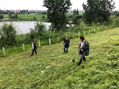 血肉长城，挺立在卧龙乡的堤坝上———卧龙乡抗洪防汛工作侧记