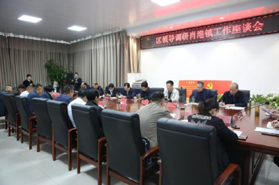 区领导到肖港镇调研督办工作