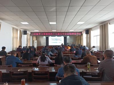 三汊镇召开学习贯彻党的十九届五中全会精神宣传报告会
