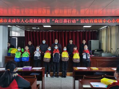 花开向阳 茁壮成长——肖港镇开展未成年人心理健康教育“向日葵行动”