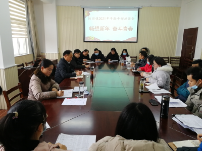 畅想新年 奋斗青春--陡岗镇召开2021年年轻干部座谈会