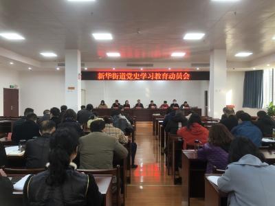 新华街道召开党史学习教育动员大会