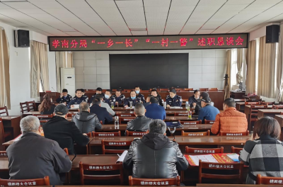 孝南分局“一乡一长”“一村一警”述职恳谈会在三汊镇举行