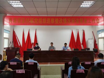 肖港镇召开巡察整改情况回访督查工作会