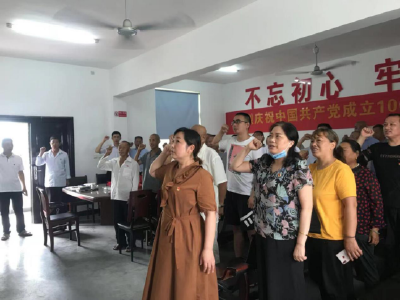 【孝南】：卧龙乡七里村开展庆党暨“七一”主题党日活动