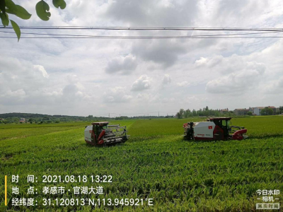 区农业农村局组织农机专业合作社开展早稻机收作业