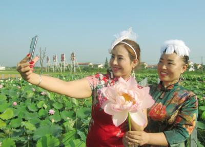 “荷”兴乡村