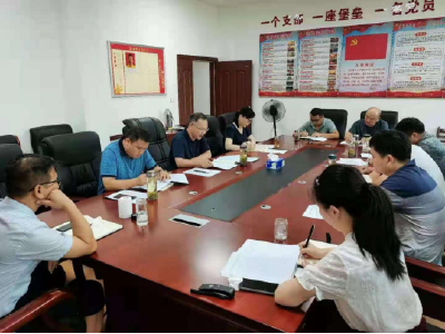 孝南区乡村振兴局党支部召开党史学习教育专题组织生活会