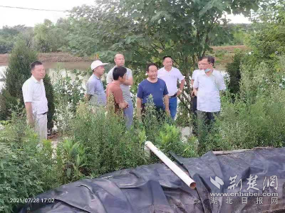 孝南喜联村：水产专家来把脉 乡村产业发展稳