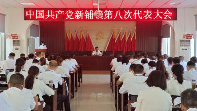新铺镇第八次党员代表大会胜利召开