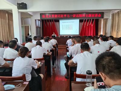 卧龙乡组织开展“七一”重要讲话精神专题宣讲