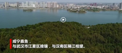  【这里是湖北】嘉鱼高质量发展观察丨当好“配角”，对接融入大武汉