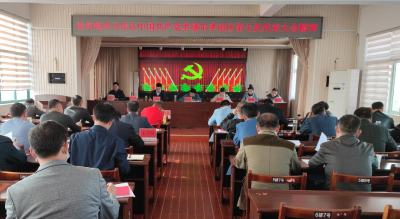 陡岗镇学习传达孝南区第七次党代会精神 