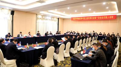 区七届人大一次会议召集人会议召开