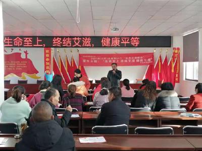 卧龙乡、新华街道开展世界艾滋病日宣传活动 