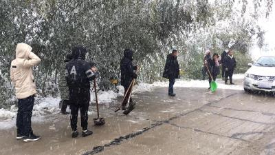 陡岗镇：雪中见情暖人心