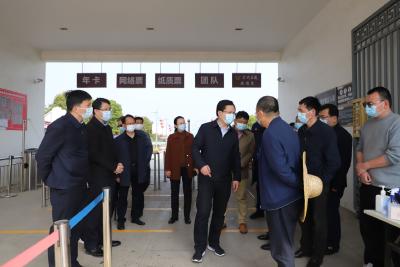 区领导开展清明节前疫情防控、安全生产大检查活动