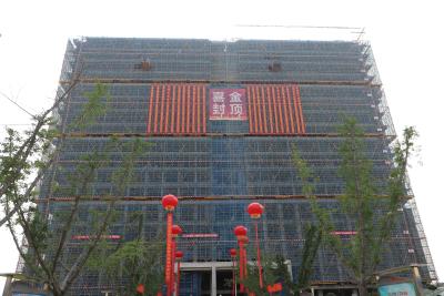 孝感市传染病救治基地喜封金顶