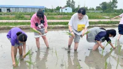 最美的风景在路上——三汊学区扎实开展研学旅行活动