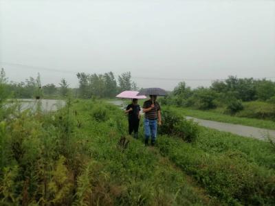 孝南区杨店镇积极应对本轮强降雨做好防汛工作