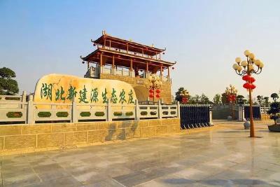 孝南：推动“高速+旅游”融合发展新模式