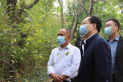 夏齐勇调研共同缔造示范点建设 
