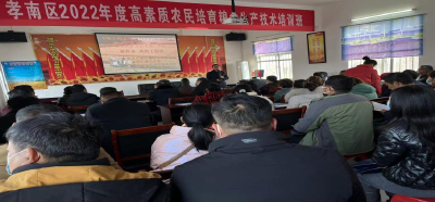 孝南：培育高素质农民，助力粮食安全生产