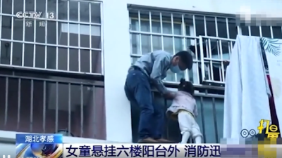 孝南区两人获得省级见义勇为先进表彰
